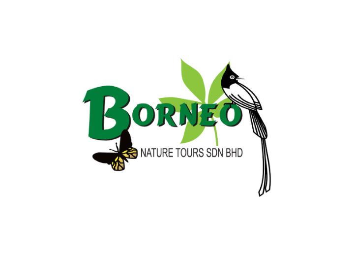 Borneo Nature Tours